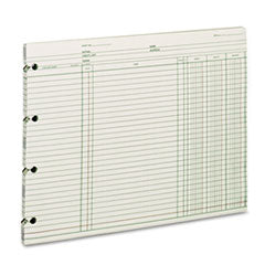Wilson Jones Accounting Sheets